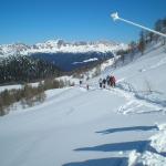 TING DEL LAGORAI (MALGA VAL CION)_17